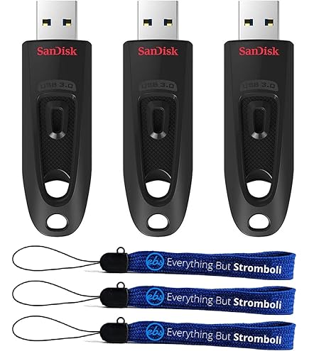 NEIGHBORHOOD - NEIGHBORHOOD CM.ULTRA 3.0 A-LANTHANUM 新品 SanDisk Cruzer Ultra 32GB USB 3.0 Flash USB Drive - Walmart.com
