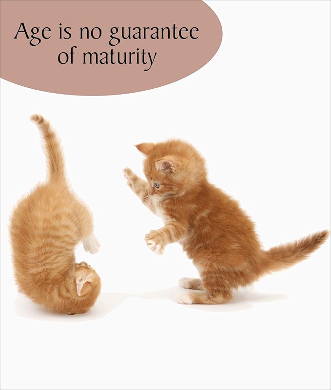 cat maturity age