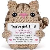 Nuowagify Get Well Gifts for Women, Inspirational Encouragement Sympathy Gifts for Friends Teacher Student Coworker- Cute Cat Crochet Gift, Get Well Soon Comfort Support, Small Desk Decor