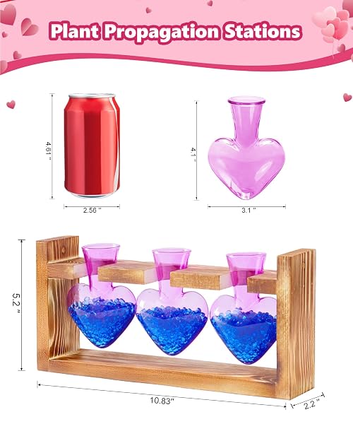 NACOME PLANT TERRARIUM PROPAGATION STATIONS: MOTHERS DAY GIFTS FOR MOM PLANT LOVERS WOMEN WIFE DAUGHTER – 3 BULB GLASS VASE WITH WOODEN STAND TABLETOP FOR HYDROPONICS HOME GARDEN DECOR(PURPLE)