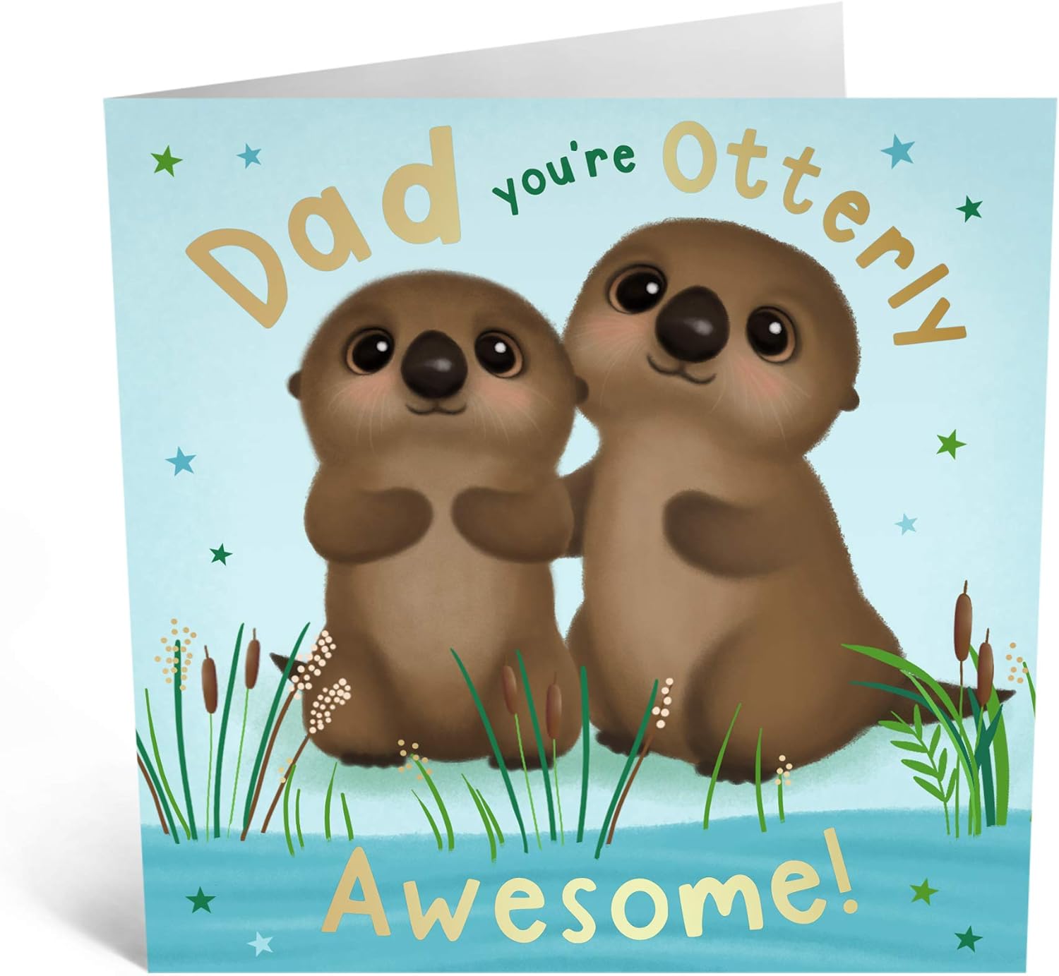 Central 23 Daddy Birthday Cards, Sweet Birthday Card for Dad, 'Dad You're Otterly Awesome', Cute Dad Birthday Card