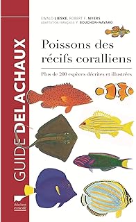 Amazonfr Récifs Coralliens La Faune Sous Marine Des -