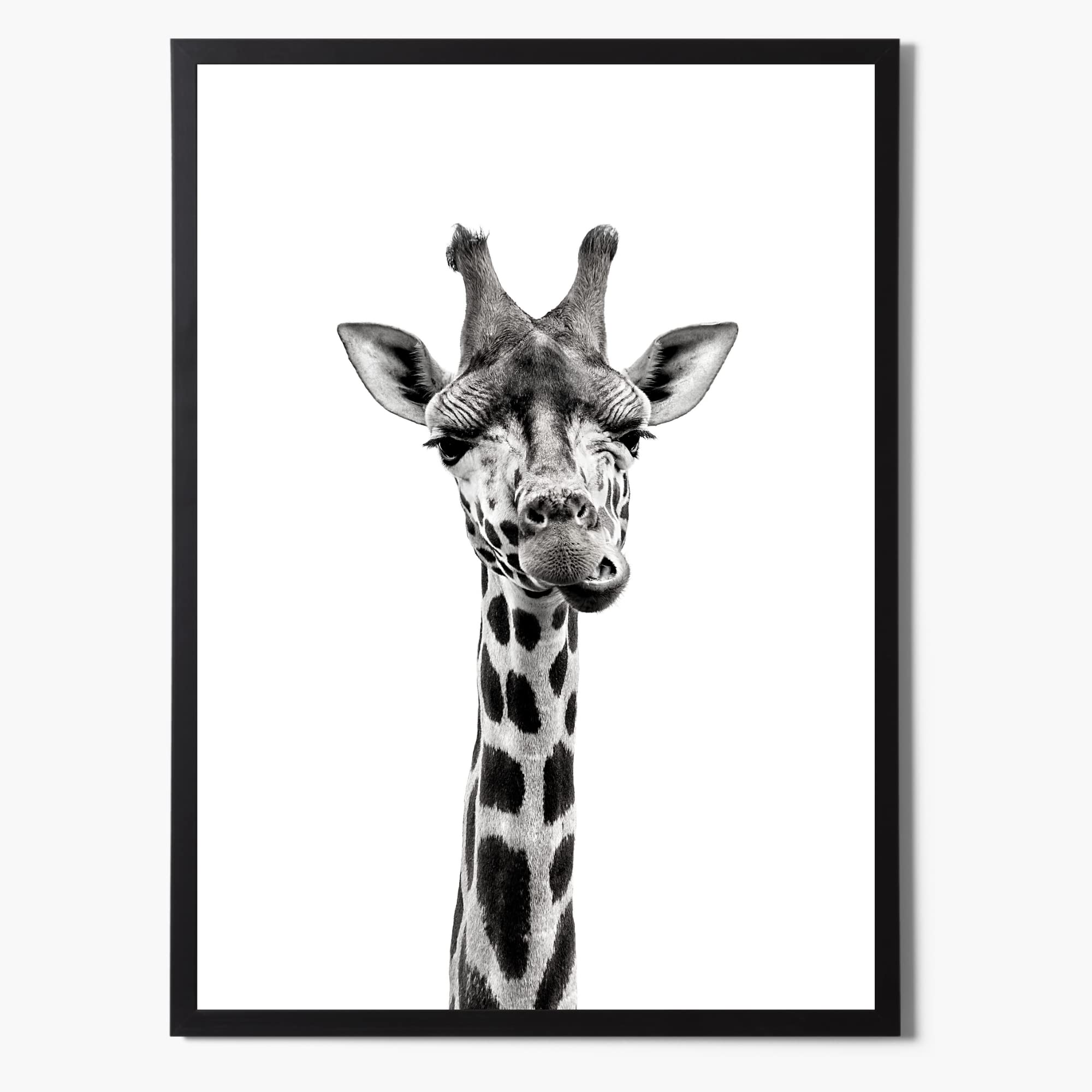 State Media Vision Giraffe Print In Black and White, Modern Simplistic Bathroom/Bedroom Home Decor, Safari Animal Giraffe Wallart (Giraffe, A4 Print Only)