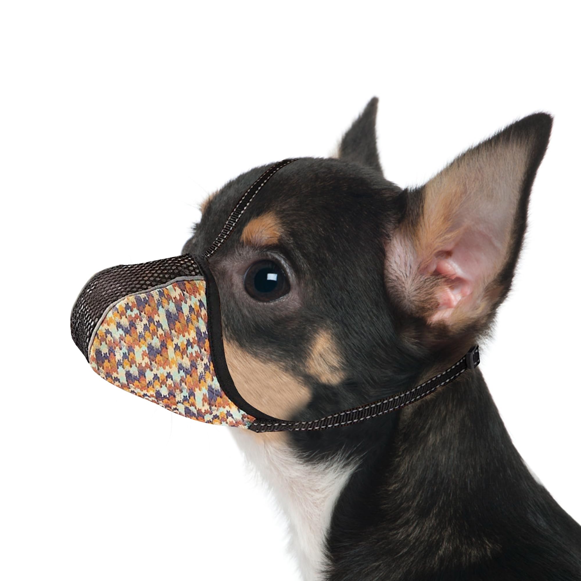 Photo 1 of JOYPAWS Dog Muzzle for Extra Small Dogs Anti & Prevent Biting Chewing Barking Soft Air Mesh Muzzles Reflective Ajustable Full Coverage Dog Mouth Guard Cover for Grooming Scavenging Orange XS