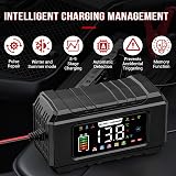 Husgw 15A Car Battery Charger 12V/24V Smart Maintainer with LCD Temp Comp view 5