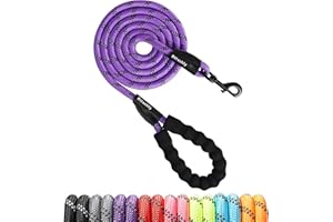 Rttochfy Dog Leash Heavy Duty - 2/4/5/6/8/10 Foot Rope Leash with Comfortable Padded Handle and Reflective - Puppy Training Leash for Small Medium Large Breed Dogs - (1/2" x5 FT, Purple)