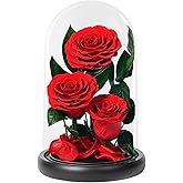 Changshunqi Roses Forever Preserved Flowers - Forever Flowers in Acrylic Dome for Delivery, Anniversary Birthday Preserved Rose Flower Gifts for Women Wife Mom Grandma Daughter Her Girlfriend