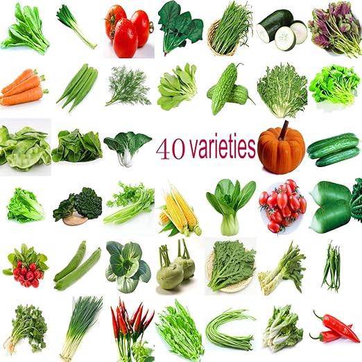 Garden Vegetable Green Organic Chinese Seeds 40 Different Varieties Qty
