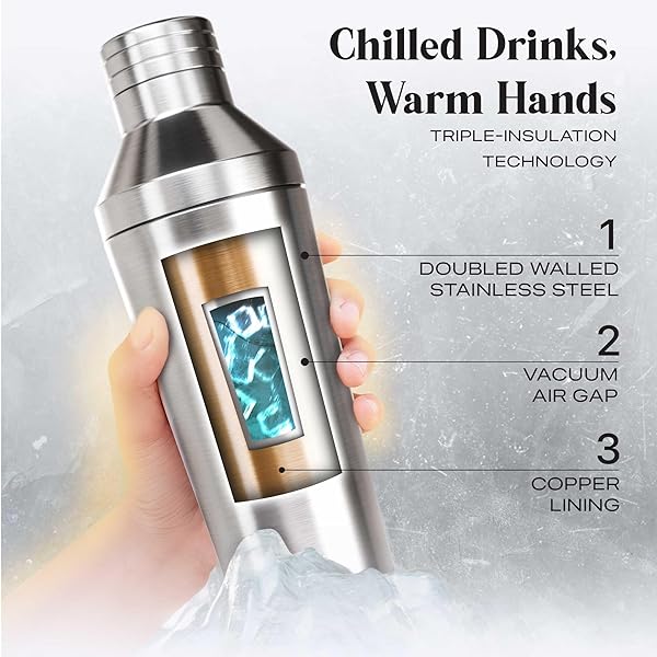 BARE BARREL INSULATED COCKTAIL SHAKER SET | DOUBLE WALL STAINLESS STEEL | MARTINI SHAKER FOR HOME BAR BARTENDING | BUILT-IN DRINK MEASURE SYSTEM & STRAINER, TRAVEL BAG, RECIPES | GIFT SET (SILVER)