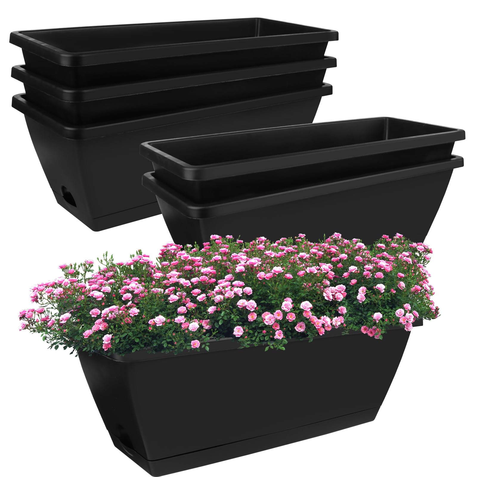 View 6