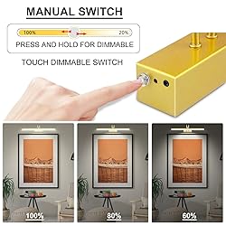 RAIFOOLLY Picture Light,16in Wireless Battery Wall