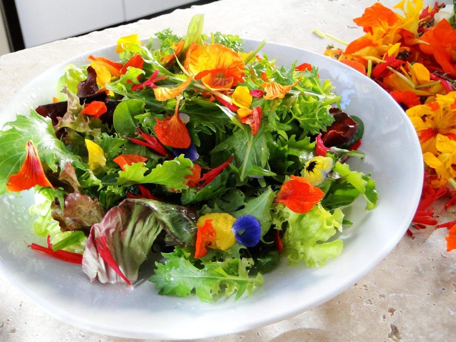 Herb-nasturtium Jewel Mix Multi Color 50 Seeds The Edible Flower