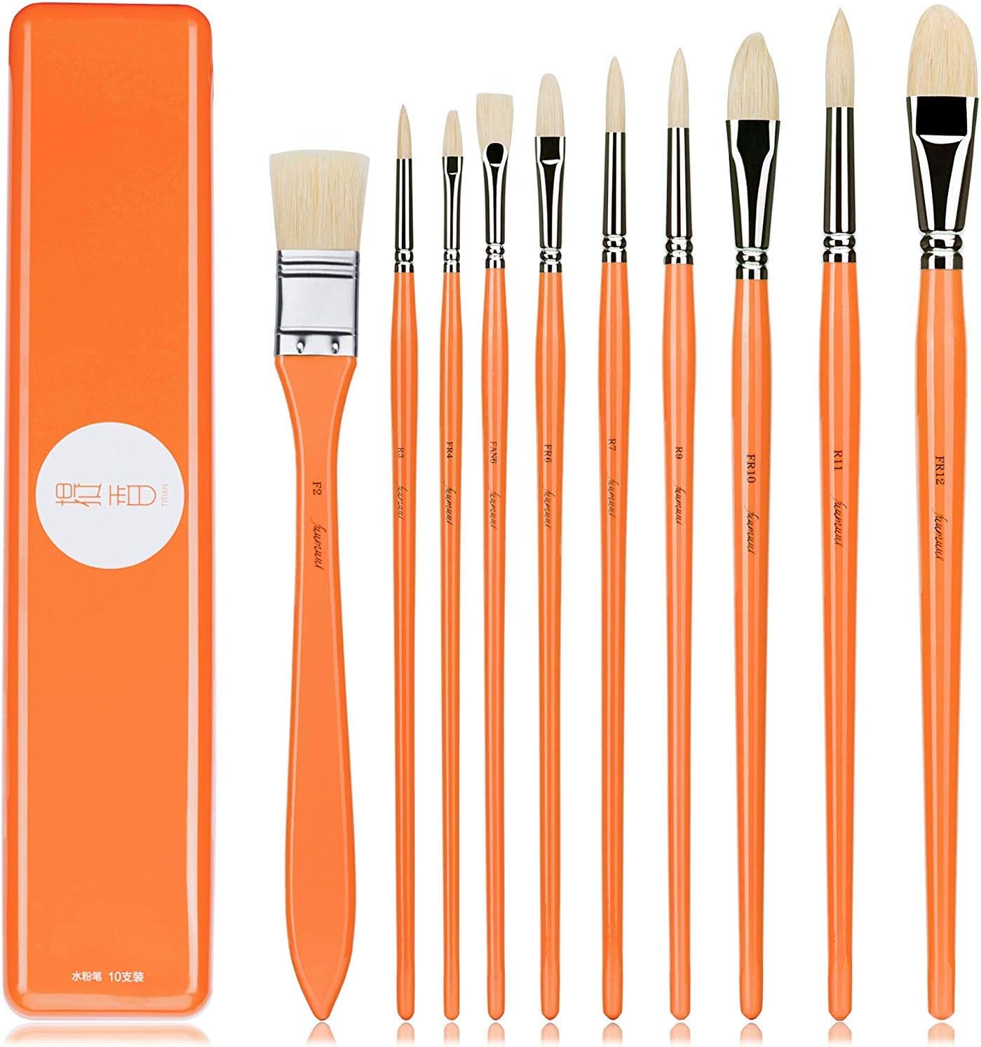 Fuumuui Juego de 10 pinceles profesionales para pintura ...