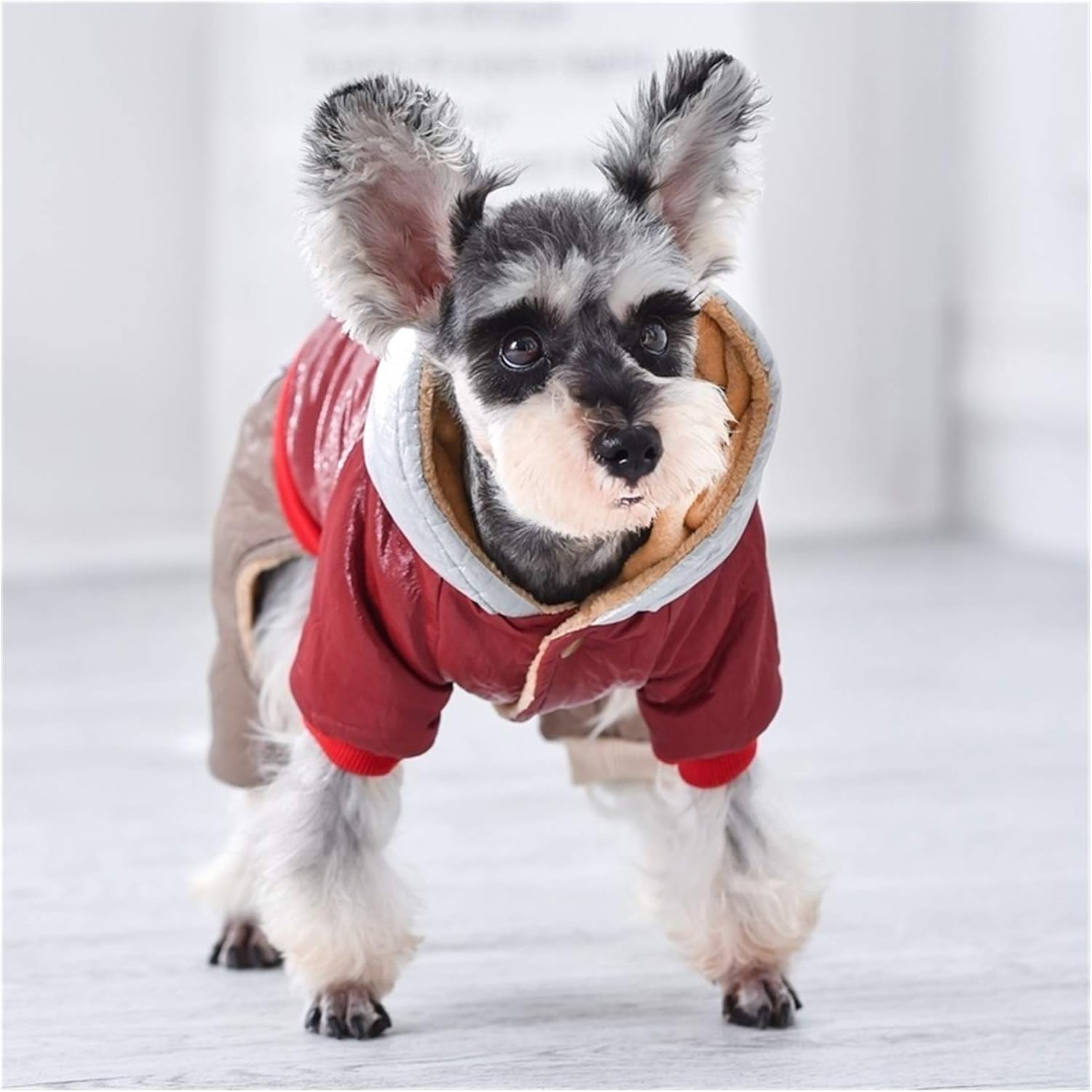 GO-AHEAD Hundemantel Hundekleidung Winter Warme Mantel Down Pet Snow Hoodie Kleidung Kleine und ...