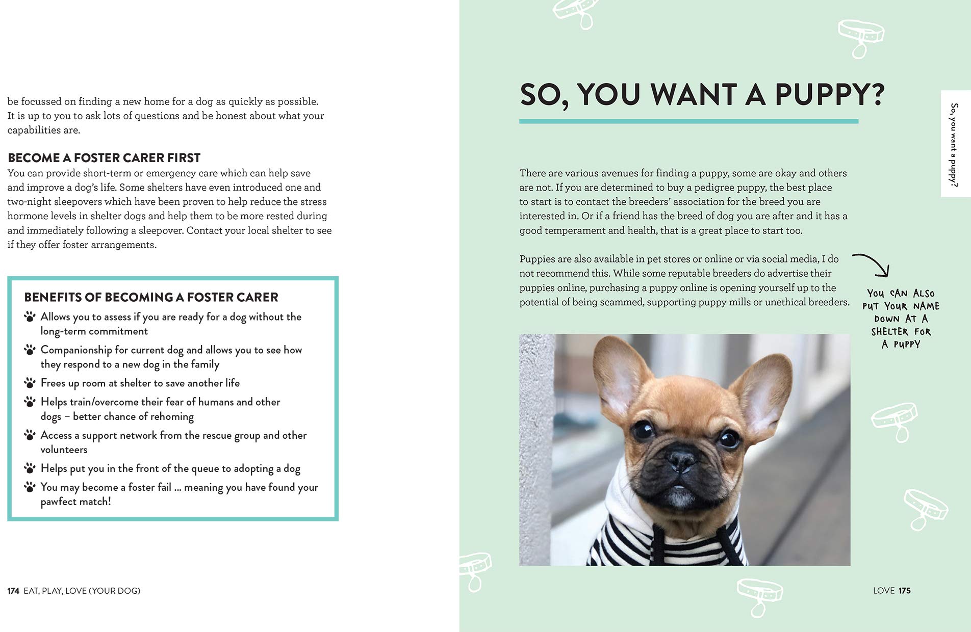 foster pet supplies online