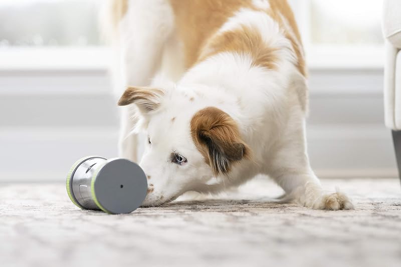 Kibble Chase - Dispensador de Comida e Petiscos para Cães, Brinquedo Interativo Inteligente para Cães, Funcionado a Pilhas, Resistente
