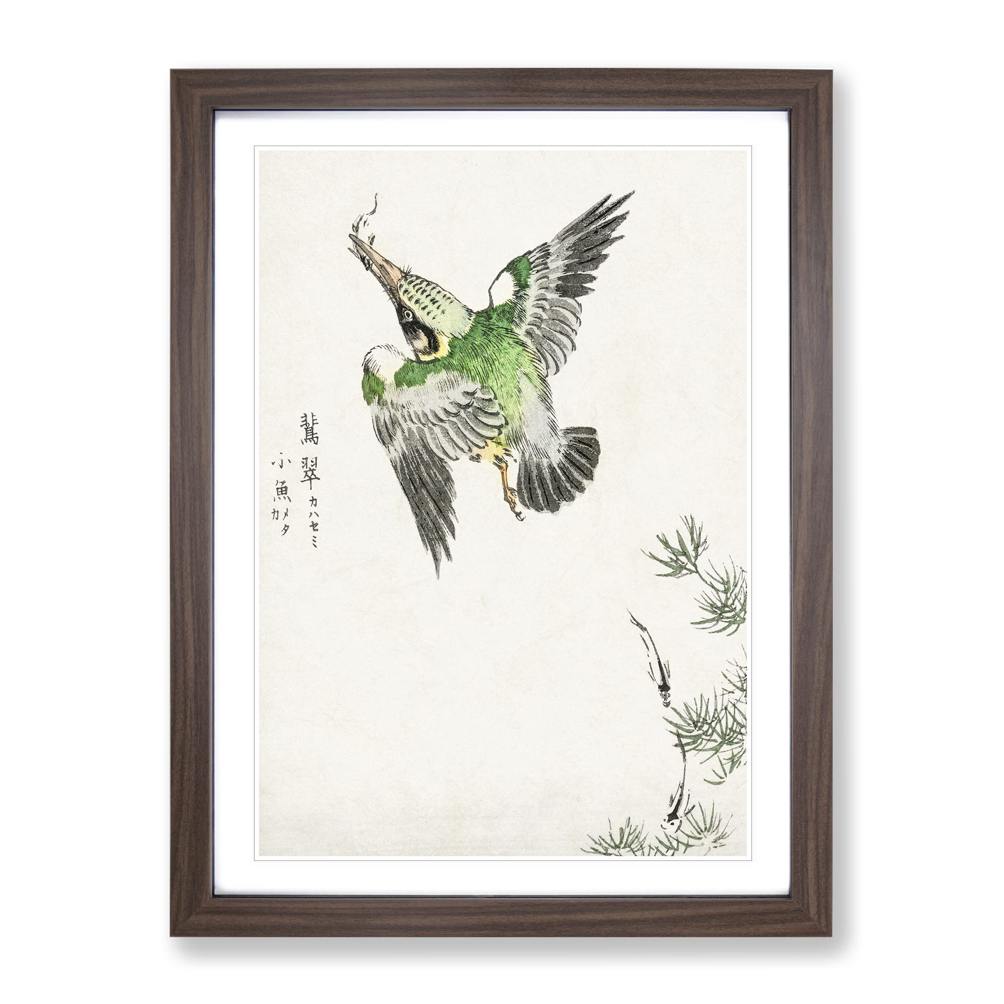 Japanese Common Kingfisher By Numata Kashu Asian Japanese Framed Wall Art Print, Ready to Hang Picture for Living Room Bedroom Home Office Décor, Walnut A4 (34 x 25 cm)