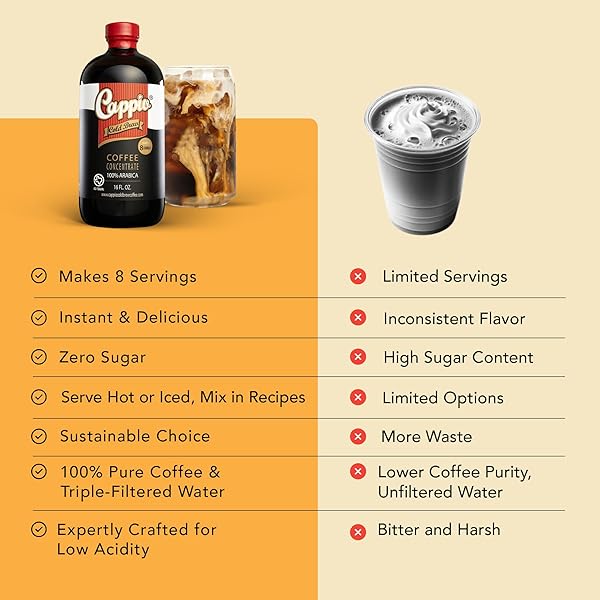 CAPPIO COLD BREW CONCENTRATE – 1 PACK | SMOOTH & VERSATILE COFFEE CONCENTRATE | SMALL-BATCH ROASTED | 16 FL OZ