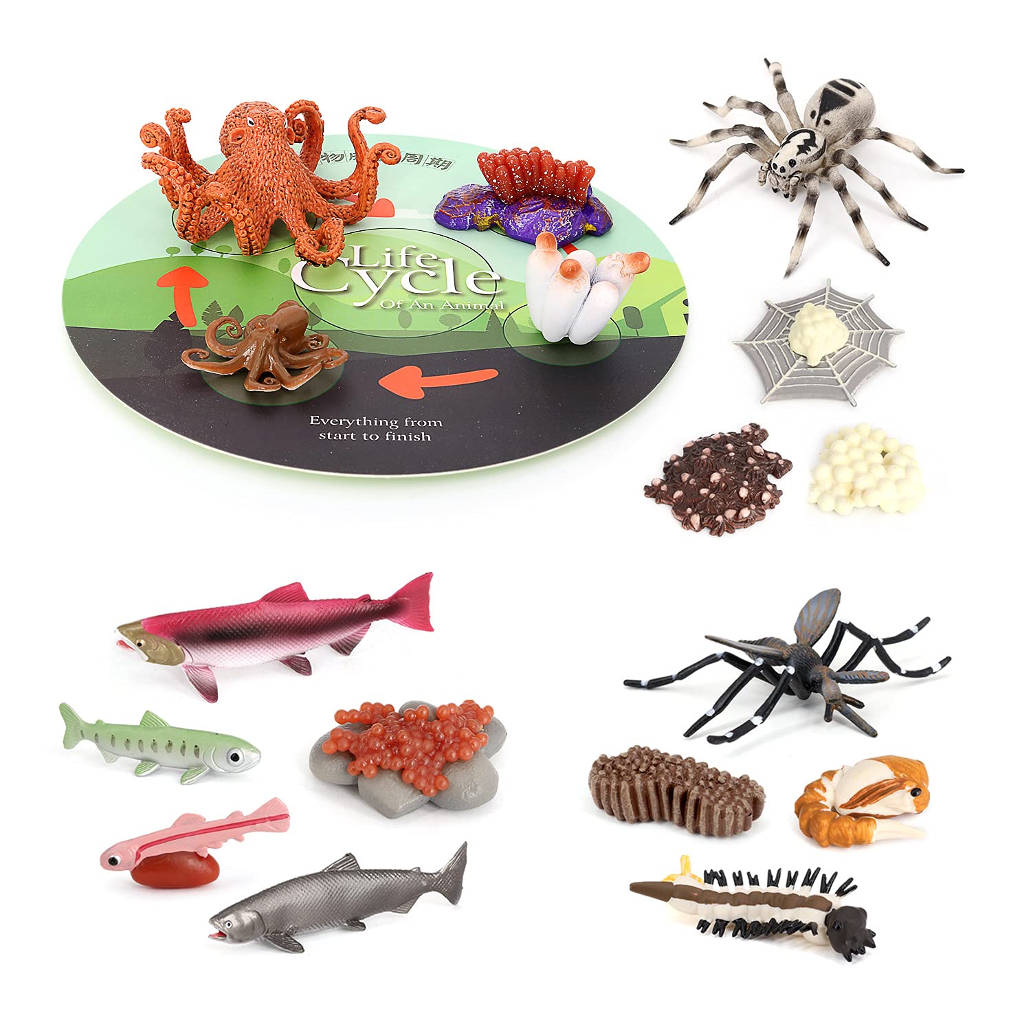 Volnau Animal Figurines Toys 17PCS Life Cycle Figure Set for Toddlers Kids Salmon Octopus Wolf Spider Mosquito Christmas Birthday Gift Preschool Educational Prop