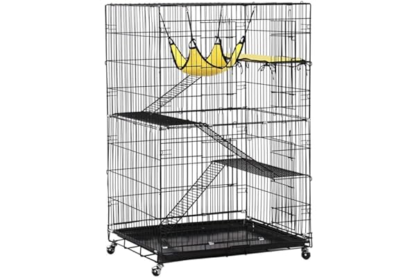 cat boarding enclosures