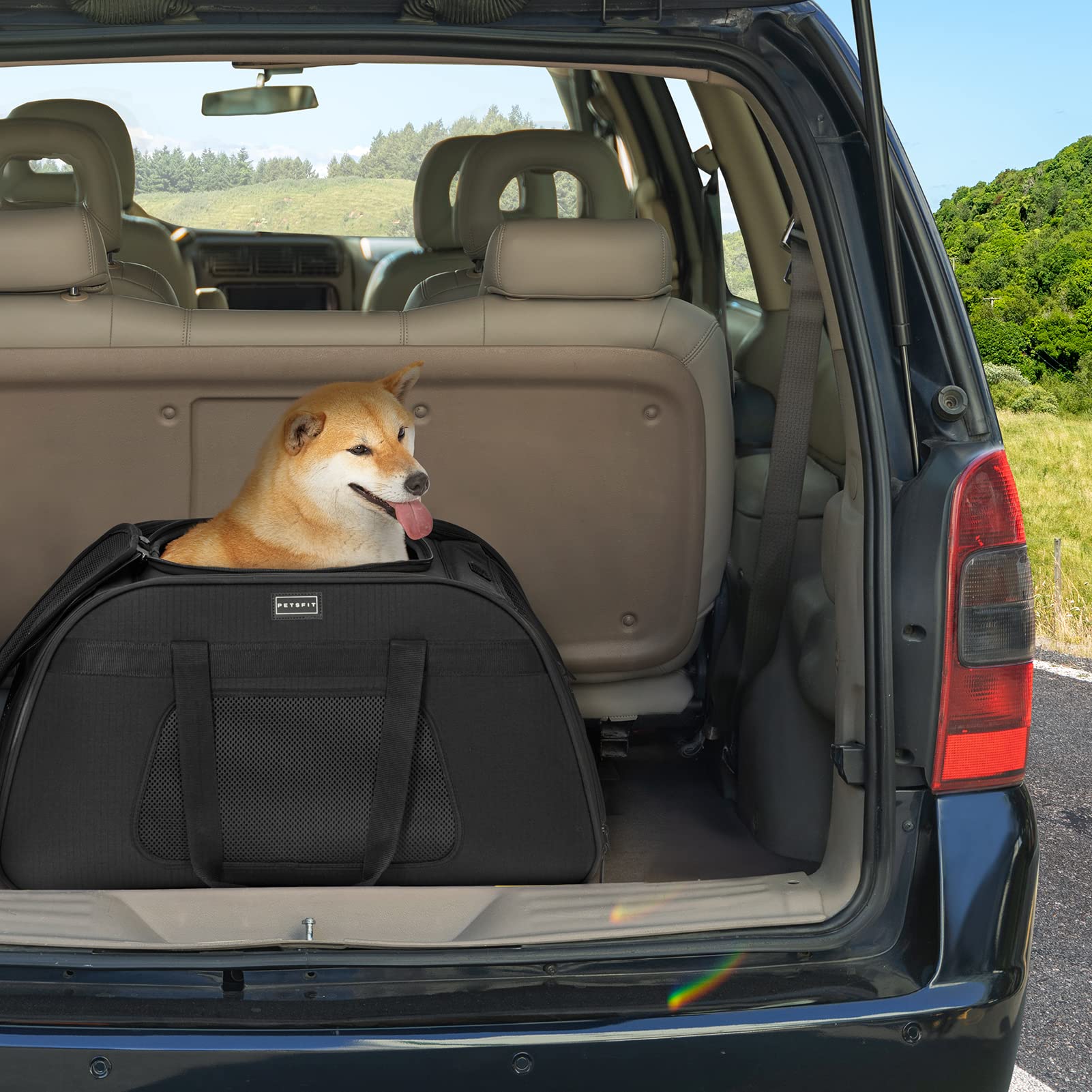 Large Pet Carrier with Wheels