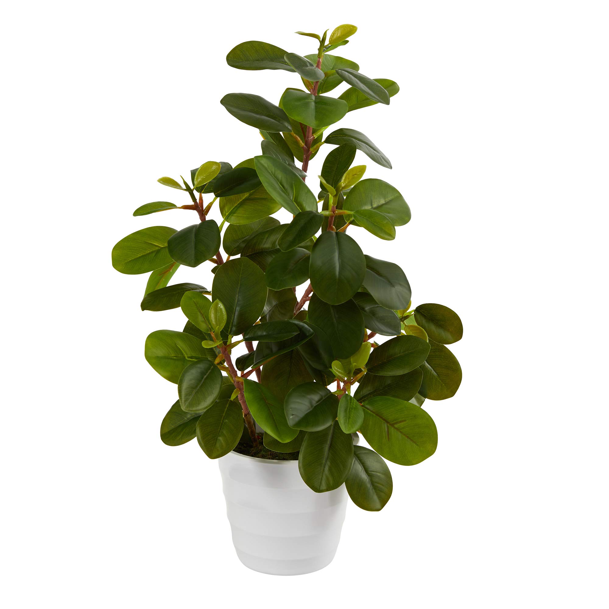 Photo 1 of Nearly Natural 16in. Peperomia Artificial Plant in Decorative Planter