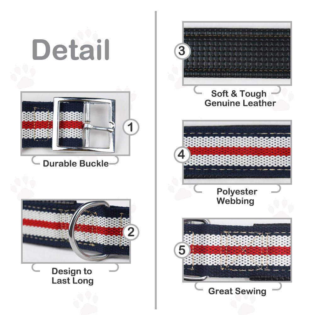 Petfu Personalised Luxury Leather Dog Collar, with Padding, Robust, Medium/Large, White