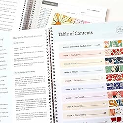 New The Bible In A Year: A 52-Week Bible Study For