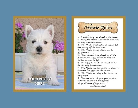 Regles Pour Chien Westie Decoration Murale Inscription Pour Chien Animal Avec Citation Amazon Fr Cuisine Maison