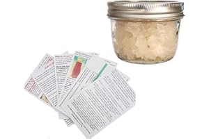 One SEALED Glass Jar HALF Cup Original Florida Sun Kefir Live Water Kefir Grains