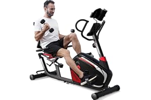HARISON Magnetic Recumbent Exercise Bike with Arm Exerciser, Recumbent bikes for Adult and Seniors, Recumbent Exercise bike for Home 400 lbs Capacity