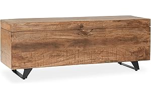 Kosas Home Axis 46" Mango Wood and Iron Storage Trunk in Natural Brown and Black