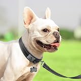 Joytale Reflective Dog Collar Extra Large Neoprene Padded Heavy Duty Buckle view 6