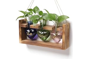 MTSIGNS Plant Terrarium Propagation Stations Faith Hope Love Hydroponics Home Garden Decoration Gift for Women with Wooden Stand Heart Shaped Colored Glass Vase