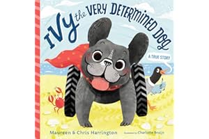 Ivy the Very Determined Dog