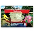 : ARKANSAS STATE MAP Postcard Set Of 20 Identical Postcards...