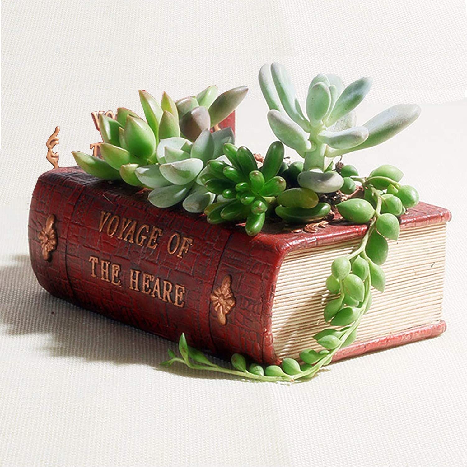 Photo 1 of Aygrün Succulent Pots Book Shaped Planter - Cute Resin Flower Pot Bookshelf Decor Creative for Sempervivum with Drainage, Gift for Women, Man, Office, Indoor Plants, Book Lovers, 7.0?x5.0?x2.3?