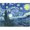 Stamped Cross Stitch Kits - Starry Night of Van Gogh Embroidery Kits for Beginners Adults,11 CT Patterns Dimensions Counted Cross Stitch Kits Arts Craft Kits 12 x 16inch