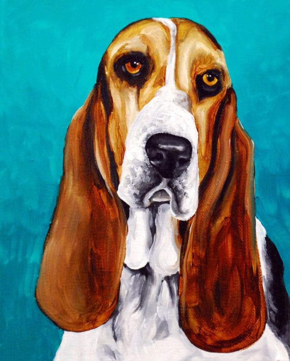 amazoncom basset hound dog pet dog animal diy paint by
