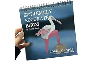 Extremely Accurate Birds Calendar - Funny Sexy Bird Wall Calendar 2026 Planner Weekly and Monthly by Tommy Siegel (1PC)