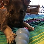 puppy kong amazon
