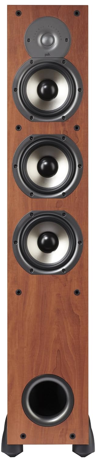 polk audio monitor 65t