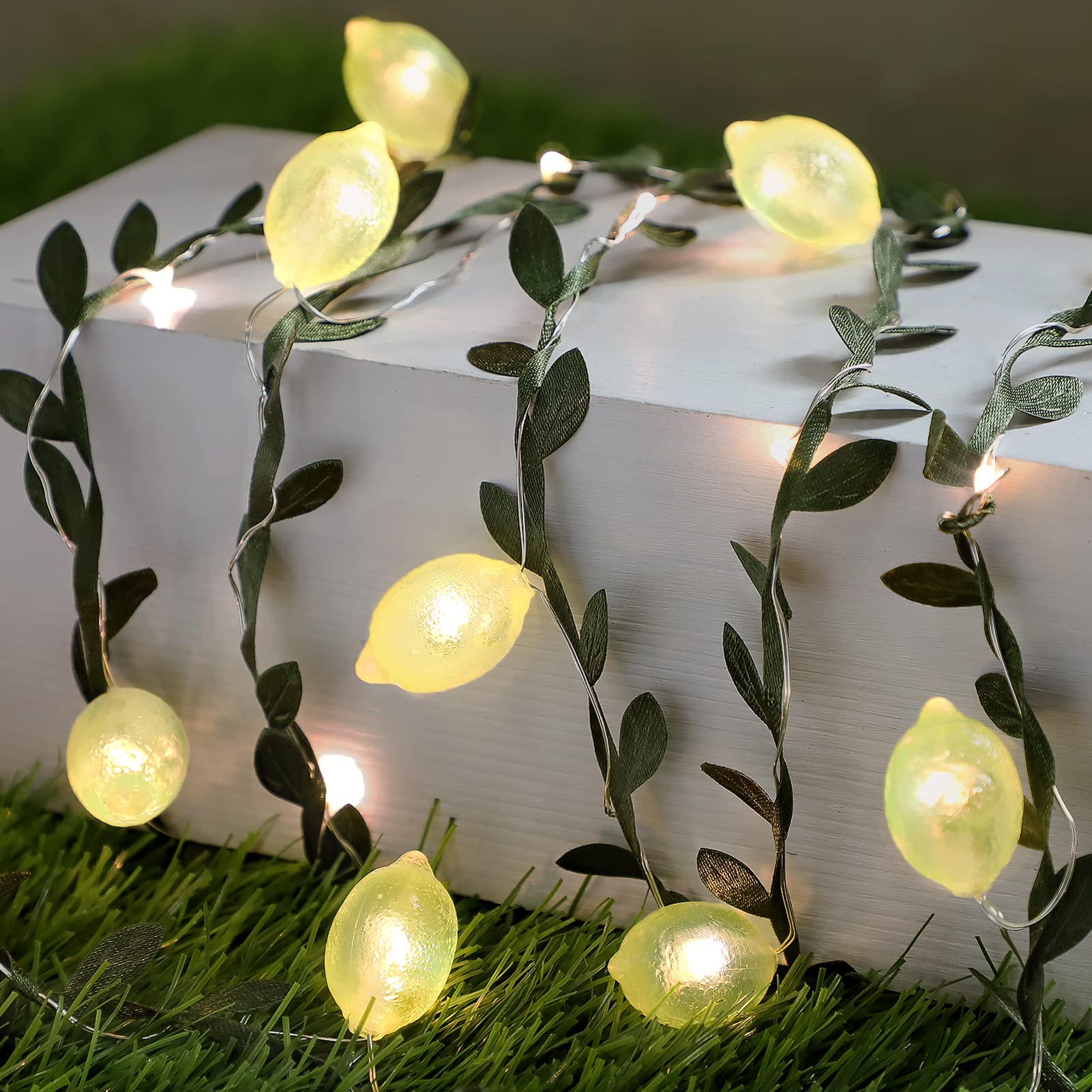 Photo 1 of FLAVCHARM 3D Lemon LED String Lights USB/Battery Operated Light String with Remote Timer 10FT 40LEDs Lemon Light Bulbs with Branches Leaves Fairy Lights for Bedroom Birthday Garden Party Decorations