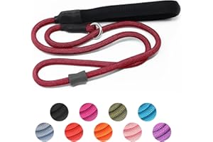 AAUFILUX Strong Slip Rope Dog Training Leash (4ft) - Heavy Duty Durable Braided Nylon Lead with Rubber Stopper & Padded Handle - No Pull Walking for Medium Large Dogs (Wine Red, 1/2" x 4ft)