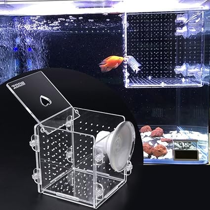 Ecmqs Fischzucht Trota Trasparente In Plastica Pesce Allevatori Box Fischei Brut Betriebsstatte Jung Pesce Isolamento Box Amazon It Prodotti Per Animali Domestici