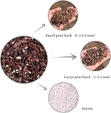 GOTVUGE All Purpose Orchid Soil 1L Bark Perlite Mix for Epiphytic Orchids view 3