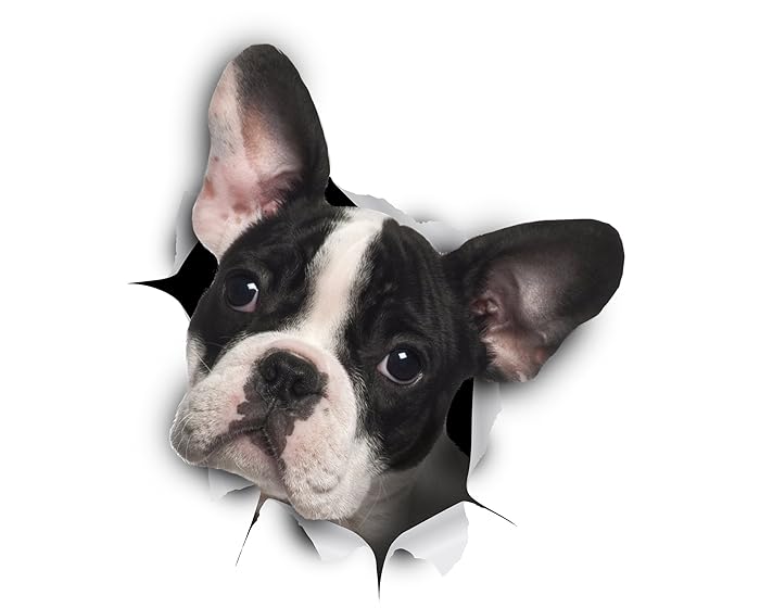 The Best French Bull Dog Wall Stickers Home Decor