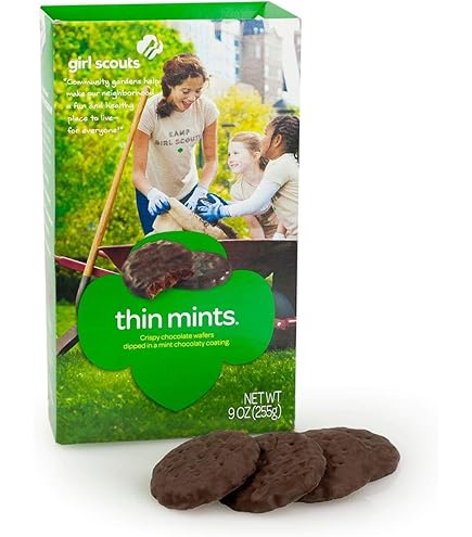 Amazon.com : Girl Scout Cookies Lemon-Ups - New Cookie for 2020