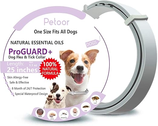 essential oil dog collar