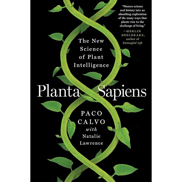 What a Plant Knows: A Field Guide to the Senses: Chamovitz, Daniel:  8601420074965: Amazon.com: Books